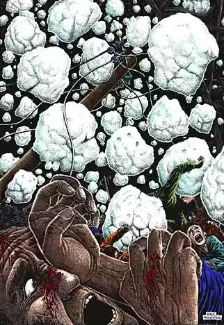 hailstones